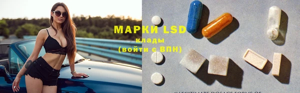 PSILOCYBIN Михайловск