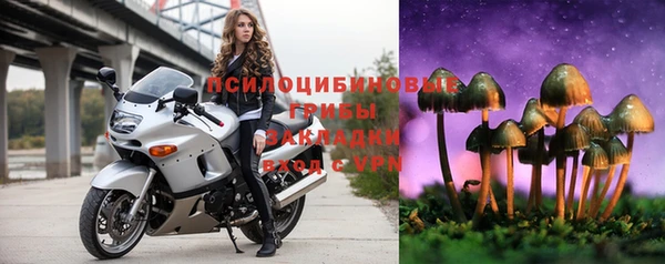 PSILOCYBIN Михайловск