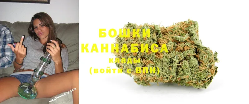 купить закладку  Камешково  Шишки марихуана SATIVA & INDICA 